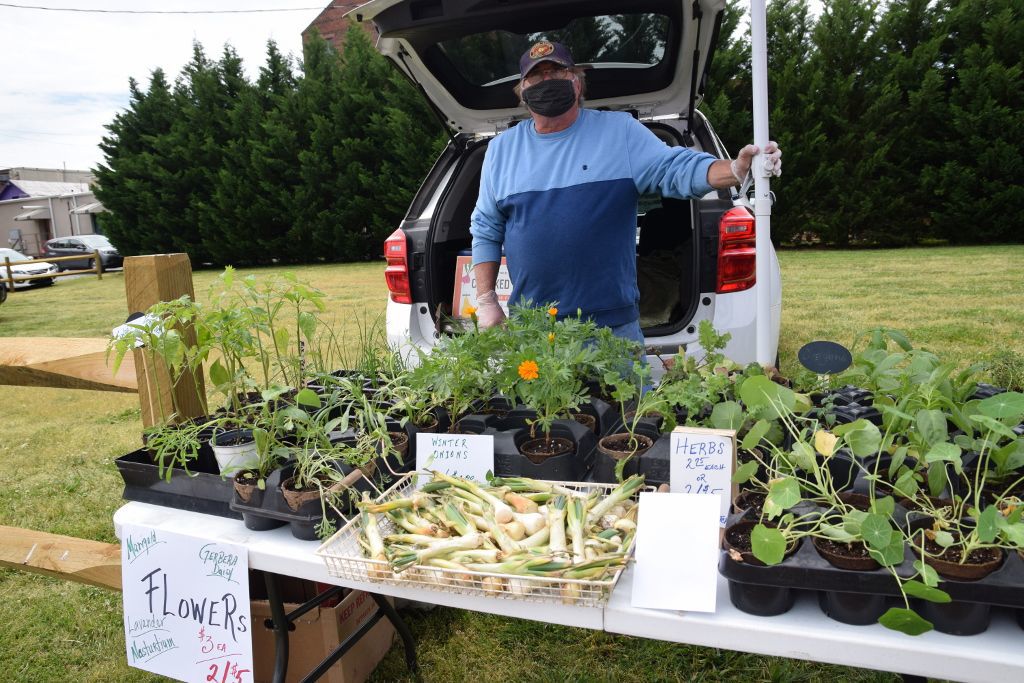 5-13-20 farmers market 030 (1024x683).jpg